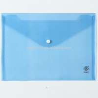 Plastic envelop file bag