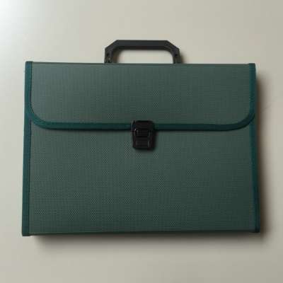 Expanding file organizer bag  folder