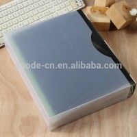 Office A4 PP Fancy 10 clear pockets plastic File folder Display book