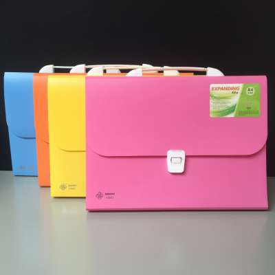 Briefcase file folder carrying case 13 pocket accordion file folder